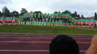 SANDUGO FESTIVAL2013 BISU CLARIN CAMPUS  GRAND CHAMPION [upl. by Leiahtan339]