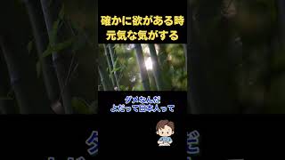 【斎藤一人】人生が最高になる考え方だと思います [upl. by Esirehs195]