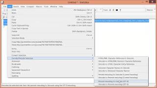 old HD EncodeDecode percent encoding URL encoding with EmEditor text editor [upl. by Aihsened895]