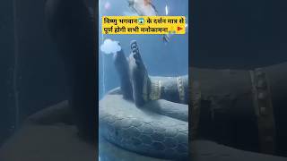 vishnu bhagwan ke darshan maatr se hi hogi manokamna puri🙏youtubeshorts bhaktibhajan krishna yt [upl. by Piwowar]