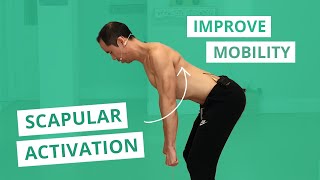 3Way Scap Circles Scapular Muscle Activation amp Mobility Exercises [upl. by Hands521]