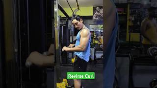 Reverse Curl For Byceps and Forearm workout motivation youtubeshorts ytshorts fitness [upl. by Assir858]