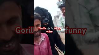 Gorilla 🦍🐒 funny video Pawanbhaiyakutorawale [upl. by Dolf]