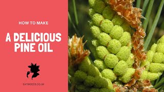 How to Make a Delicious Pine Oil Recipe [upl. by Hanoy173]