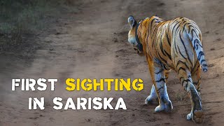 Sariska Tiger Reserve Safari with Eagle Safaris  4K Video Hindi  हिन्दी [upl. by Arrait]