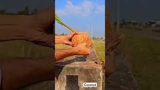 Amazing Coconut 🥥 Cutting shortsvideo viralvideo trend subscribers [upl. by Yltsew]