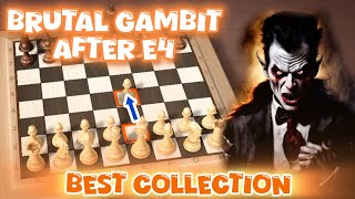 Kumpulan Gambit paling brutal  Top Gambit recommended [upl. by Dib]