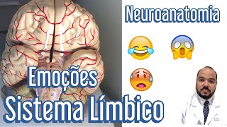 Sistema Límbico e as Emoções  Neuroanatomia [upl. by Leatri]