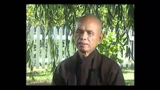 Thich Nhat Hanh  Embracing Your Pain and Sorrow [upl. by Avilys512]