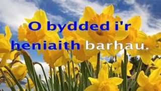 Welsh National Anthem with lyrics in Welsh instrumental HD [upl. by Nerrej]