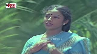 Subha Muhuratam Movie Songs  Nee Choopu  Murali Mohan  Suhasini  RedChille Video Songs [upl. by Leahcimnaj156]