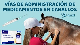 VÍAS DE ADMINISTRACIÓN DE MEDICAMENTOS EN CABALLOS  Lauvet [upl. by Airotcivairam]