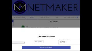 Netmaker 08 Updates  Quick Walkthrough [upl. by Stanwood]