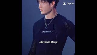 straykids stay topline [upl. by Jens]