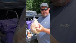 How to Make Carp Pack Bait  carpbait fishing [upl. by Calise424]