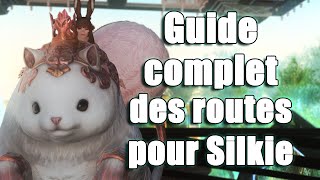 Guide des 12 entrées du donjon à embranchements amp monture Silkie de FFXIV  Toutes les fins [upl. by Alexei309]