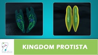 KINGDOM PROTISTA [upl. by Annovy792]