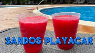 Sandos Playacar ✅2024 All inclusive Beach Resort amp Spa Playa del Carmen [upl. by Dnana]