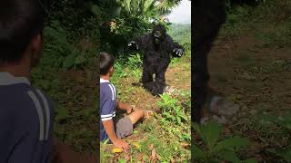 Survival Skills Using Kungfu to beat Gorillas bushcraft survivalskills forest wildlife [upl. by Bach318]