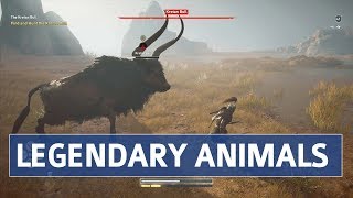 Assassins Creed Odyssey  Daughters of Artemis Questline Location amp Walkthrough Legendary Animals [upl. by Yvaht]