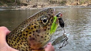 Fishing with the FIRST GOOGAN TROUT LURE AMAZING Underwater Footage [upl. by Sillyrama358]