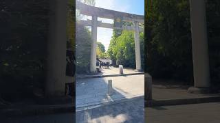 Seimei Shrine 晴明神社 Seimeijinja japan kyoto kyotolife shinto shintoshrine [upl. by Lowis]