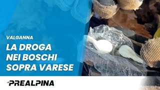 Valganna  La droga nei boschi sopra Varese [upl. by Tala]