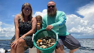 Scalloping in Steinhatchee Catch Clean Cook [upl. by Kirven830]