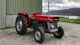 Massey Ferguson 135 Restoration [upl. by Alwyn359]