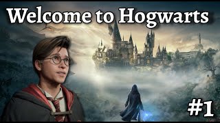 Hogwarts Legacy is AMAZING [upl. by Wehtta108]