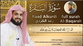 سورة البقرة Al Baqara ـ Raad Alkurdi  Мухаммад курди Рукъя Для очищение дома [upl. by Tolland]