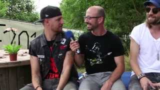 TaubertalFestival 2013  Interview mit Hoffmaestro [upl. by Eilyw98]