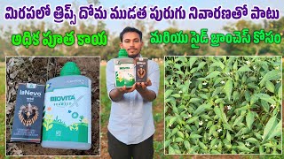 Dhanuka Lanevo Insecticide  Lanevo new insecticide  lanevo full details in telugu use in chilli [upl. by Agni847]