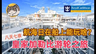 加勒比海遊輪之旅 第2集  海上航行日可以在遊輪上玩些啥  郵輪水上樂園  感恩節活動  遊輪賭場  主餐廳介紹  皇家加勒比 Royal Caribbean [upl. by Asimaj]