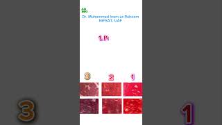 Meat Oxidation Colour Changes Pink color Myoglobin Bright Red Oxymyoglobin Brownish Metmuglobin [upl. by Rehpotsyrk]