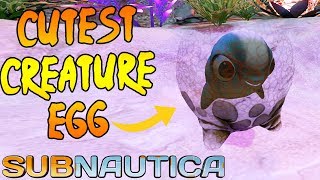 Cutest Creature in Subnautica  Cuddle Fish Subnautica Part 16 [upl. by Wiburg932]