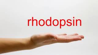 How to Pronounce rhodopsin  American English [upl. by Adis]