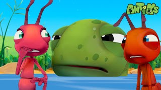 NEW Antiks Episode  Hooked  Funny Cartoons For Kids [upl. by Reger941]