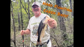 Summer of 24 Ep 3 Tiny Creek Fishing For Hard Fighting Bass [upl. by Nabatse]