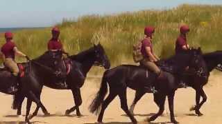 The Life Guards on Holkham Beach 2015 12 [upl. by Meriel]