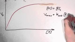 Biochemistry 93 Enzyme kinetics part 2 [upl. by Norret]