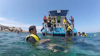 Pulau Redang Snorkeling [upl. by Daryn958]