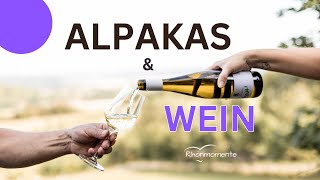 Alpakas amp Wein 🍷🦙 alpaka vino weingenuss [upl. by Srini253]