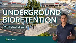 How Silva Cells Helped Solve Complex Stormwater Needs in Bay Area [upl. by Nilhtac]