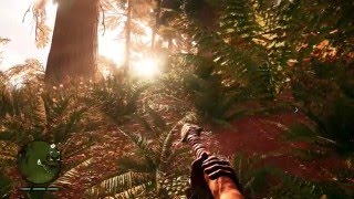 Where to find rare Black Dhole Skin in Far Cry Primal [upl. by Anne-Marie]