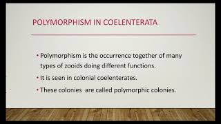 polymorphism in coelenterates [upl. by Amsirp]