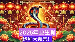 2025年12生肖运程大预言！ [upl. by Sapphire]