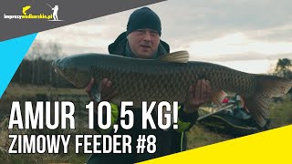 ZIMOWY FEEDER 8 FEEDER vs METHOD vs MATCH  AMUR 105 kg Grodzisko [upl. by Shiff492]