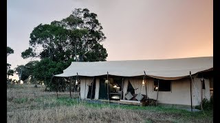 Lemala Mara Ndutu Tented Camp  Tanzania Safari [upl. by Francine]