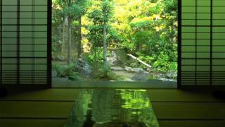 5 minutes Singing Bowls Meditation Kick Start you Day  Binaural Beats [upl. by Etnoek194]